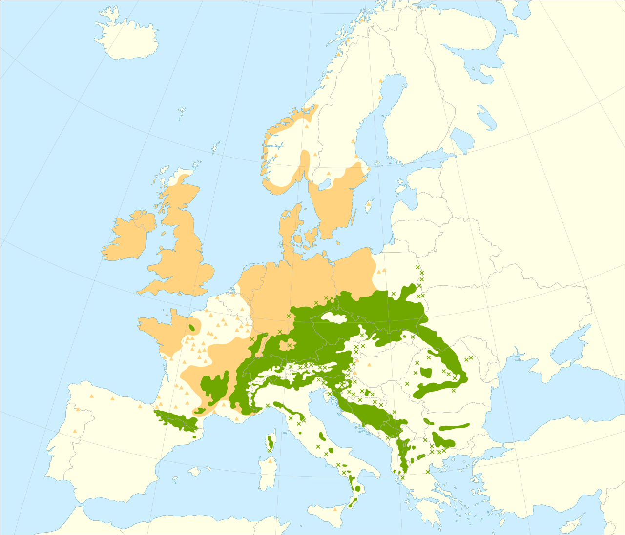 Chorological maps for the main European woody species
