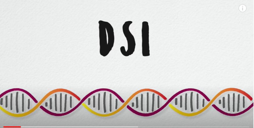 DSI Simply Explained