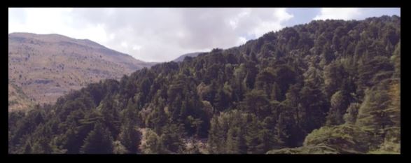 A Hotspot of Genetic Resources: The Qadisha Valley in Lebanon