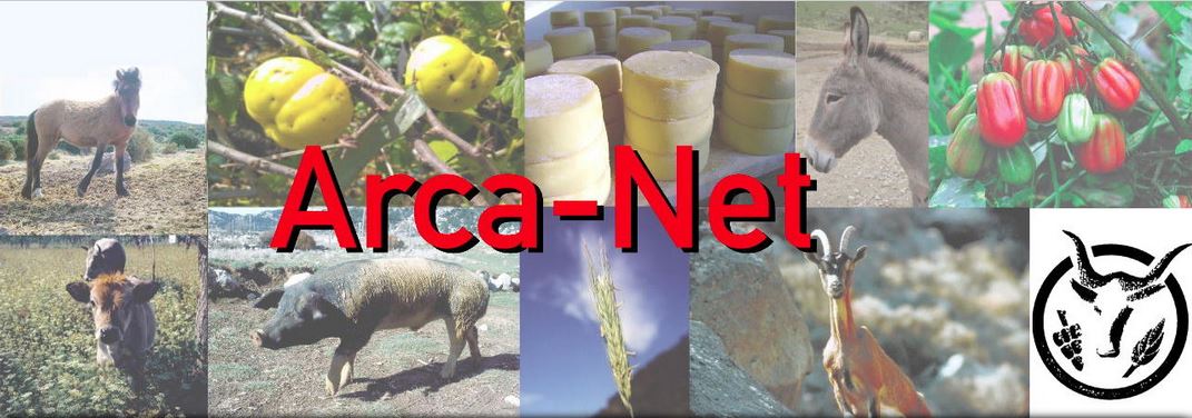 Arca-Net